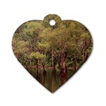 Landscape Jungle Reflection Nature Dog Tag Heart (Two Sides) Front