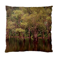 Landscape Jungle Reflection Nature Standard Cushion Case (two Sides) by Wegoenart