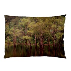 Landscape Jungle Reflection Nature Pillow Case (two Sides) by Wegoenart