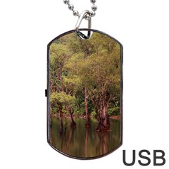 Landscape Jungle Reflection Nature Dog Tag Usb Flash (two Sides) by Wegoenart