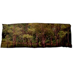 Landscape Jungle Reflection Nature Body Pillow Case (dakimakura) by Wegoenart