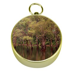 Landscape Jungle Reflection Nature Gold Compasses by Wegoenart