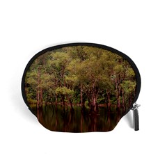 Landscape Jungle Reflection Nature Accessory Pouch (small) by Wegoenart