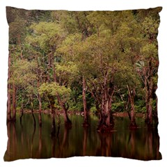 Landscape Jungle Reflection Nature Large Flano Cushion Case (one Side) by Wegoenart