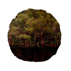 Landscape Jungle Reflection Nature Standard 15  Premium Flano Round Cushions by Wegoenart