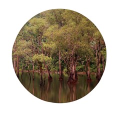 Landscape Jungle Reflection Nature Mini Round Pill Box by Wegoenart