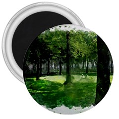 Beeches Trees Tree Lawn Forest Nature 3  Magnets by Wegoenart