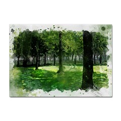 Beeches Trees Tree Lawn Forest Nature Sticker A4 (10 Pack) by Wegoenart