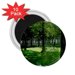 Beeches Trees Tree Lawn Forest Nature 2 25  Magnets (10 Pack)  by Wegoenart