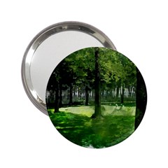 Beeches Trees Tree Lawn Forest Nature 2 25  Handbag Mirrors