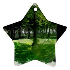 Beeches Trees Tree Lawn Forest Nature Star Ornament (two Sides) by Wegoenart