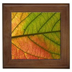 Leaf Autumn Fall Season Macro Framed Tile by Wegoenart