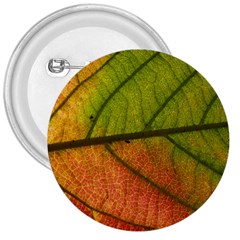 Leaf Autumn Fall Season Macro 3  Buttons by Wegoenart