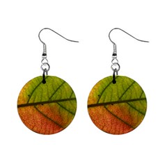 Leaf Autumn Fall Season Macro Mini Button Earrings by Wegoenart