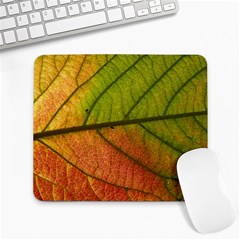 Leaf Autumn Fall Season Macro Large Mousepad by Wegoenart