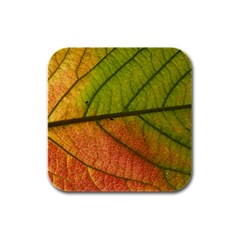 Leaf Autumn Fall Season Macro Rubber Square Coaster (4 Pack) by Wegoenart