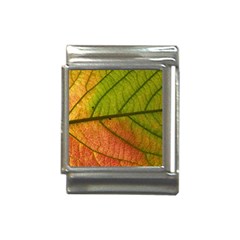 Leaf Autumn Fall Season Macro Italian Charm (13mm) by Wegoenart