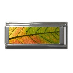 Leaf Autumn Fall Season Macro Superlink Italian Charm (9mm) by Wegoenart