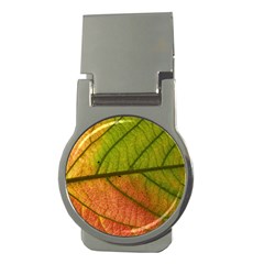 Leaf Autumn Fall Season Macro Money Clips (round)  by Wegoenart