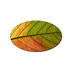 Leaf Autumn Fall Season Macro Sticker Oval (100 Pack) by Wegoenart