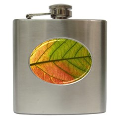 Leaf Autumn Fall Season Macro Hip Flask (6 Oz) by Wegoenart