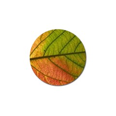 Leaf Autumn Fall Season Macro Golf Ball Marker by Wegoenart