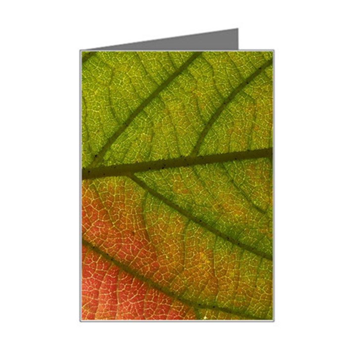 Leaf Autumn Fall Season Macro Mini Greeting Card