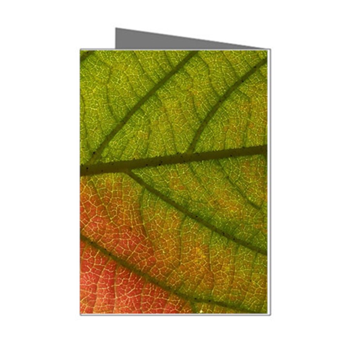 Leaf Autumn Fall Season Macro Mini Greeting Cards (Pkg of 8)