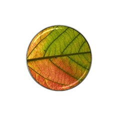 Leaf Autumn Fall Season Macro Hat Clip Ball Marker by Wegoenart