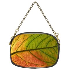 Leaf Autumn Fall Season Macro Chain Purse (two Sides) by Wegoenart