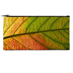 Leaf Autumn Fall Season Macro Pencil Case by Wegoenart