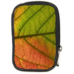 Leaf Autumn Fall Season Macro Compact Camera Leather Case by Wegoenart