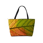 Leaf Autumn Fall Season Macro Classic Shoulder Handbag Back