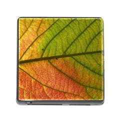 Leaf Autumn Fall Season Macro Memory Card Reader (square 5 Slot) by Wegoenart