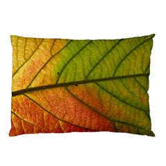 Leaf Autumn Fall Season Macro Pillow Case (two Sides) by Wegoenart