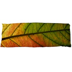 Leaf Autumn Fall Season Macro Body Pillow Case Dakimakura (two Sides) by Wegoenart