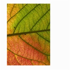 Leaf Autumn Fall Season Macro Large Garden Flag (two Sides) by Wegoenart