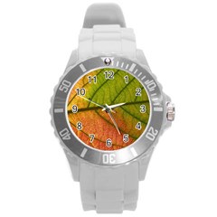 Leaf Autumn Fall Season Macro Round Plastic Sport Watch (l) by Wegoenart