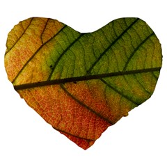 Leaf Autumn Fall Season Macro Large 19  Premium Heart Shape Cushions by Wegoenart