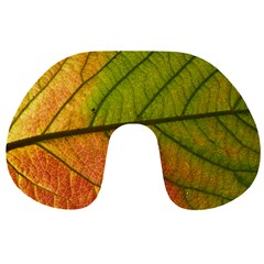 Leaf Autumn Fall Season Macro Travel Neck Pillow by Wegoenart