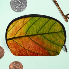 Leaf Autumn Fall Season Macro Accessory Pouch (large) by Wegoenart