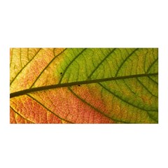 Leaf Autumn Fall Season Macro Satin Wrap 35  X 70  by Wegoenart