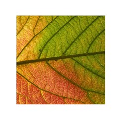 Leaf Autumn Fall Season Macro Square Satin Scarf (30  X 30 ) by Wegoenart