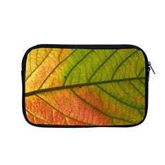 Leaf Autumn Fall Season Macro Apple Macbook Pro 13  Zipper Case by Wegoenart