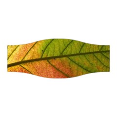 Leaf Autumn Fall Season Macro Stretchable Headband by Wegoenart