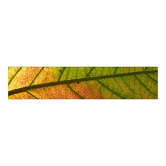 Leaf Autumn Fall Season Macro Velvet Scrunchie by Wegoenart