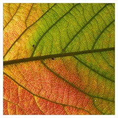 Leaf Autumn Fall Season Macro Lightweight Scarf  by Wegoenart