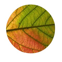 Leaf Autumn Fall Season Macro Mini Round Pill Box (pack Of 5) by Wegoenart