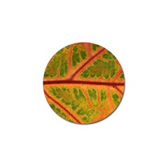 Leaf Veins Texture Autumn Fall Golf Ball Marker (10 Pack) by Wegoenart