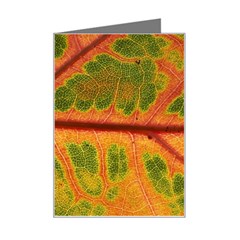 Leaf Veins Texture Autumn Fall Mini Greeting Card by Wegoenart